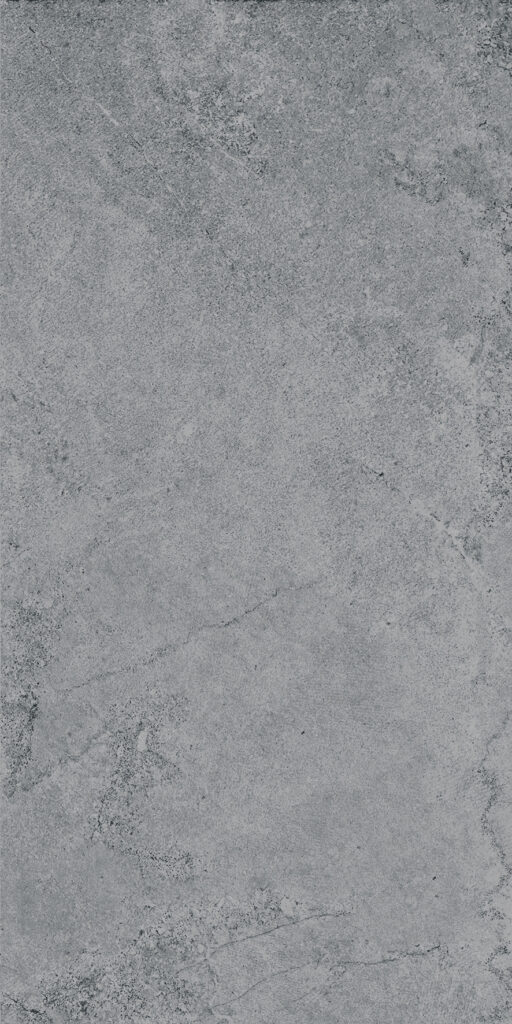 Gạch ốp tường Taicera 30x60 GC600x298-818