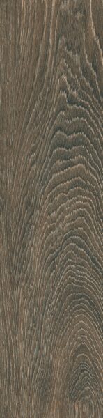 Gạch vân gỗ Taicera 60x15 GC600X148-921