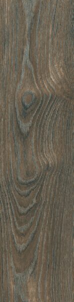 Gạch vân gỗ Taicera 60x15 GC600X148-921