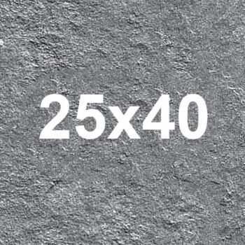 Gạch ốp tường 25x40